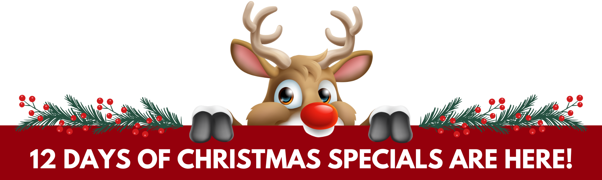 It's Finally Arrived: 12th Day of Christmas Specials